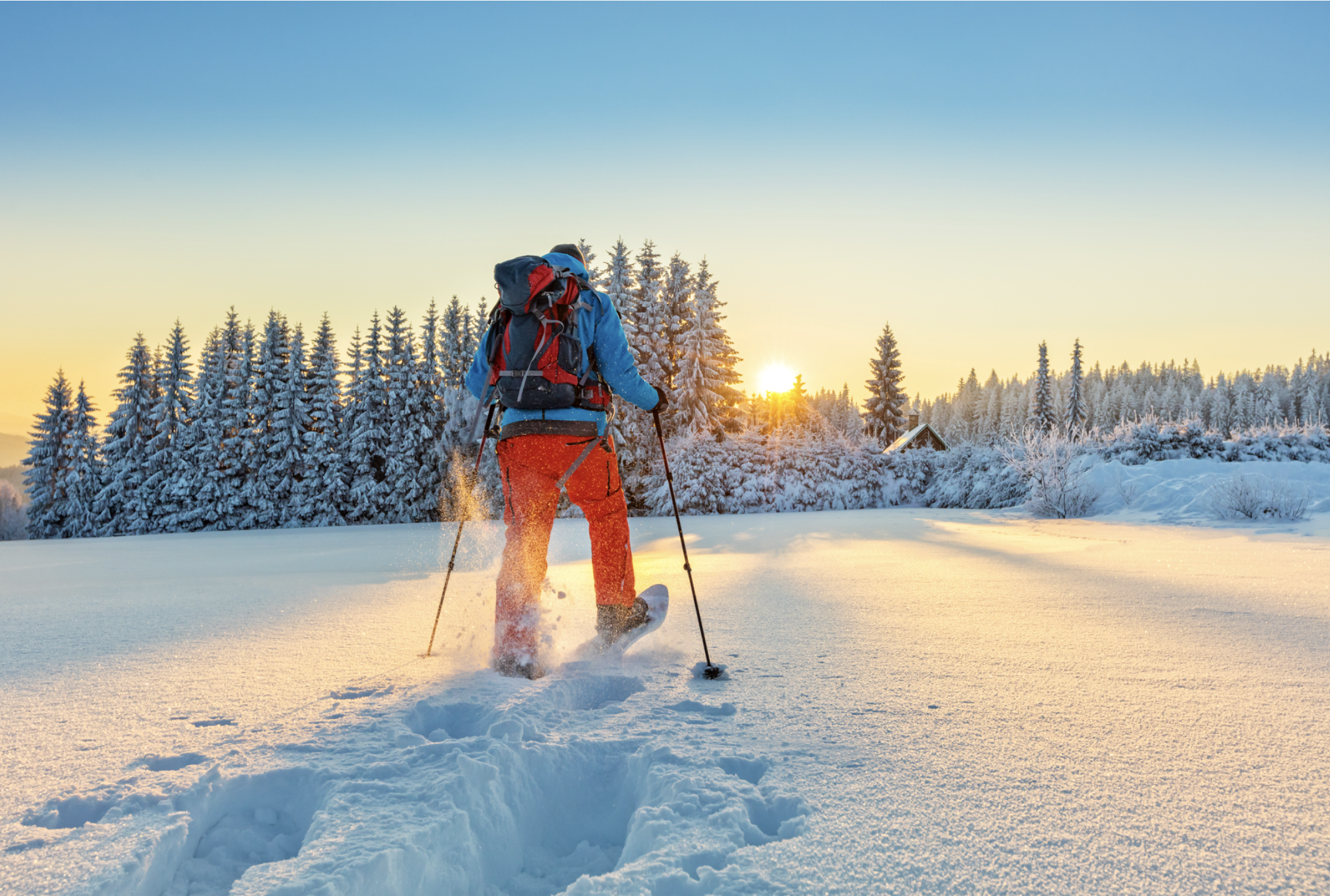 Person snowshoeing through a snowy forest trail in winter gear